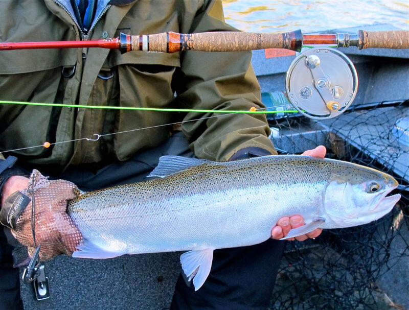 VRDesign fly reel Craig Haddock 15